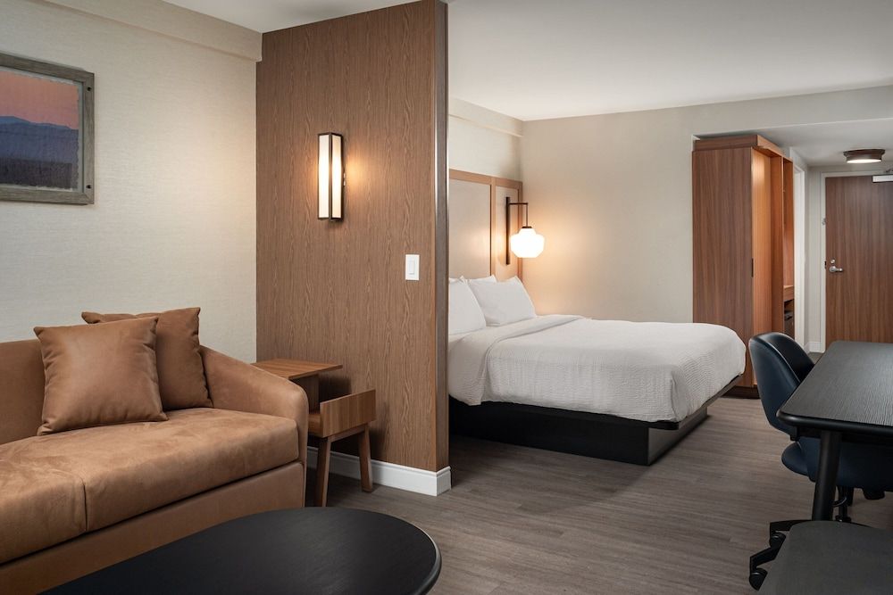 Suite, 1 King Bed with Sofa bed, Non Smoking (Mobility Accessible, Roll-in Shower)