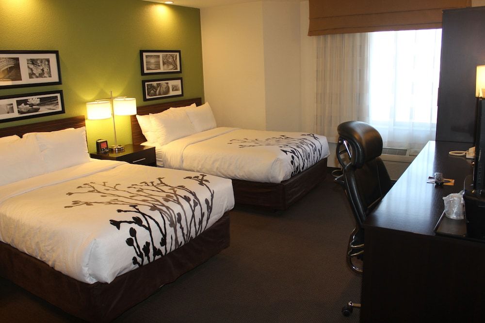 Double Room, 2 Double Beds, Non Smoking