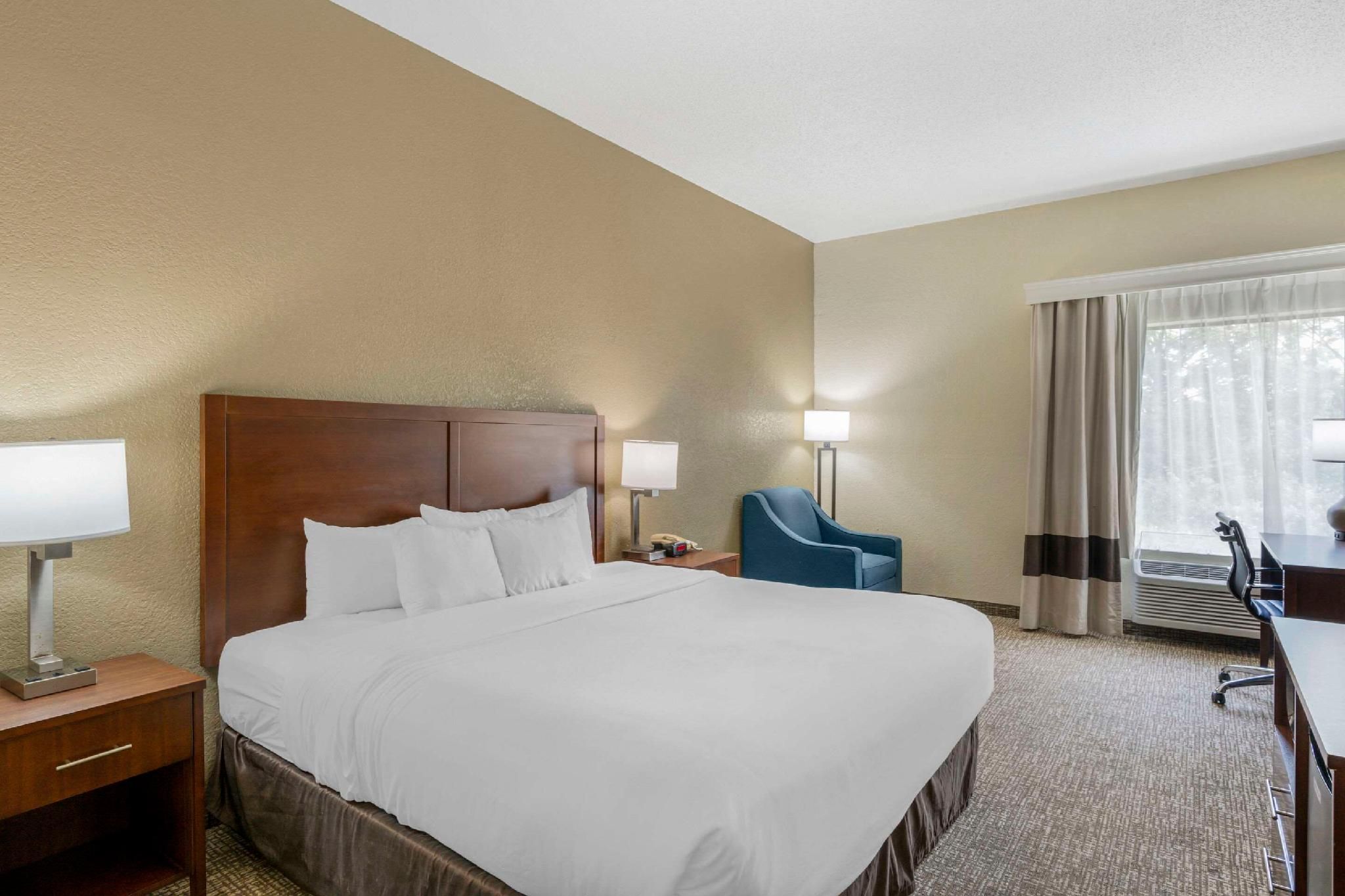 1 King Bed, Nonsmoking, Accessible