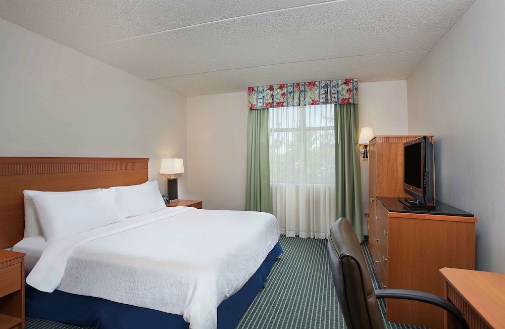 Standard Suite, 1 King Bed with Sofa bed