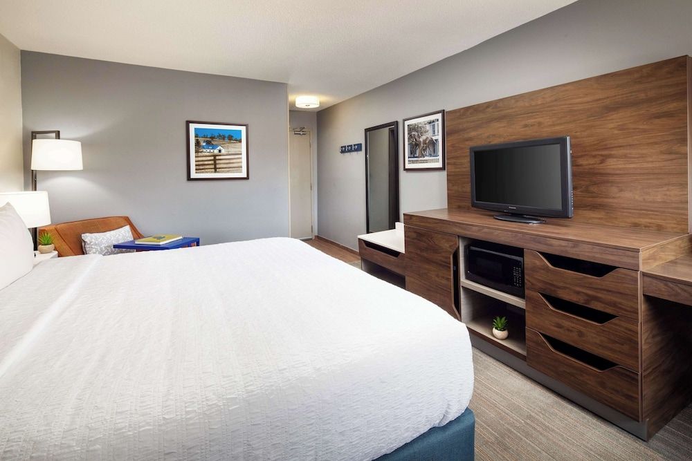 Room, 1 King Bed, Accessible, Non Smoking