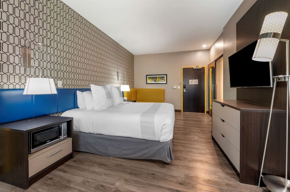 Standard Room, 1 King Bed, Accessible, Non Smoking (Walk-in Shower)