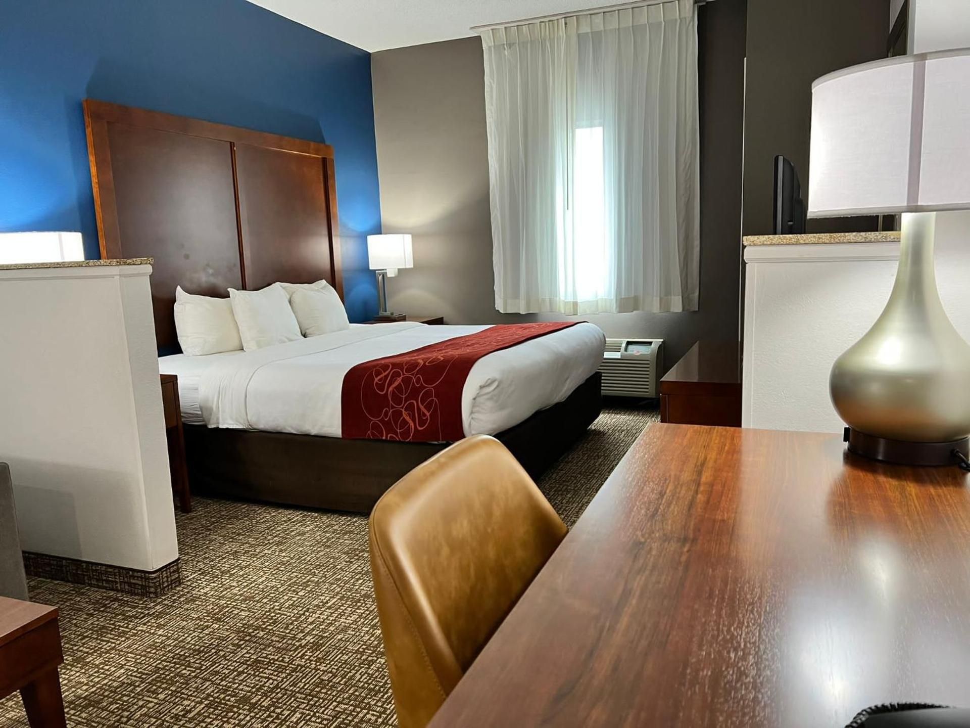 1 King Bed, Suite, Nonsmoking, Accessible