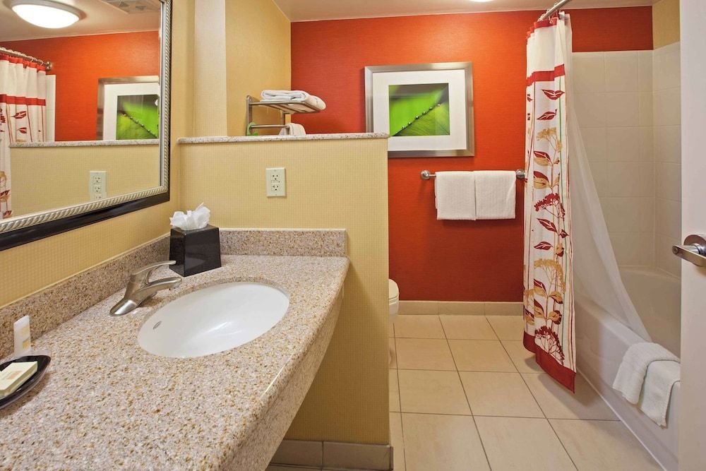 Room, 1 King Bed with Sofa bed, Non Smoking (Mobility/Hearing Access, Transf Shwr)