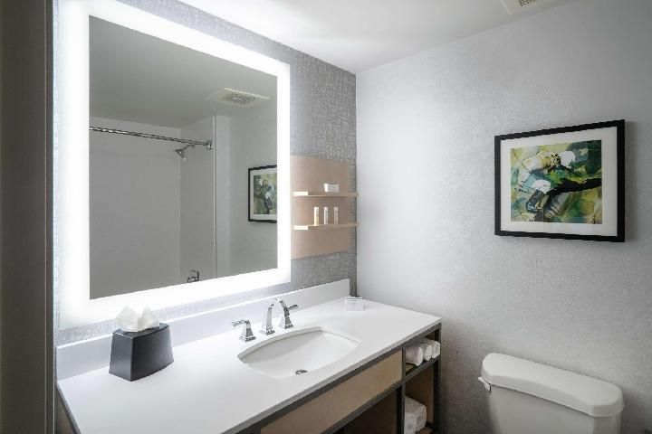 2 Queen Mobility/Hearing Access W/ Bathtub