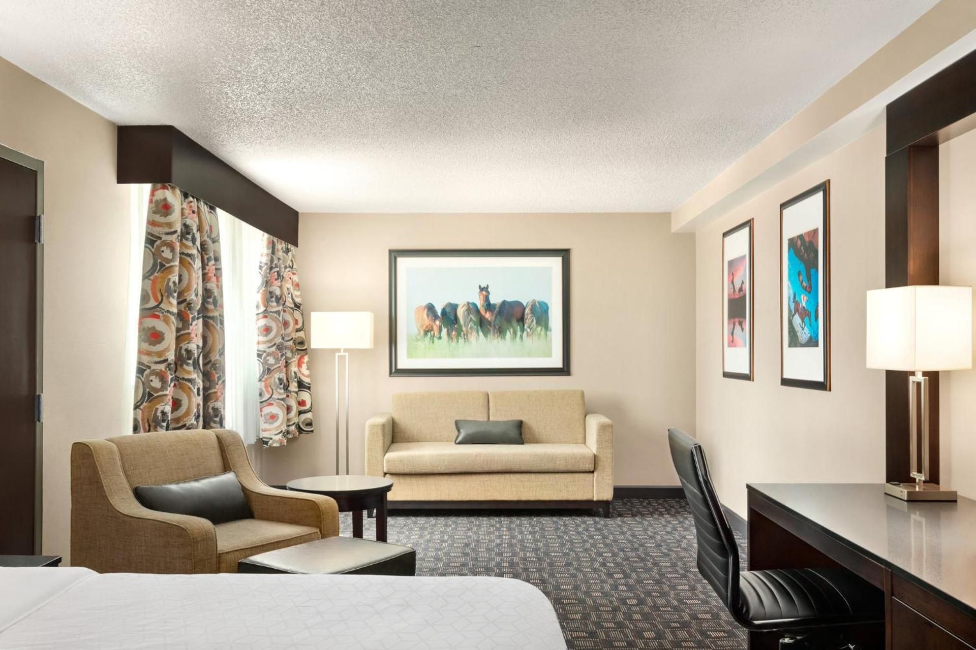 1 King Suite