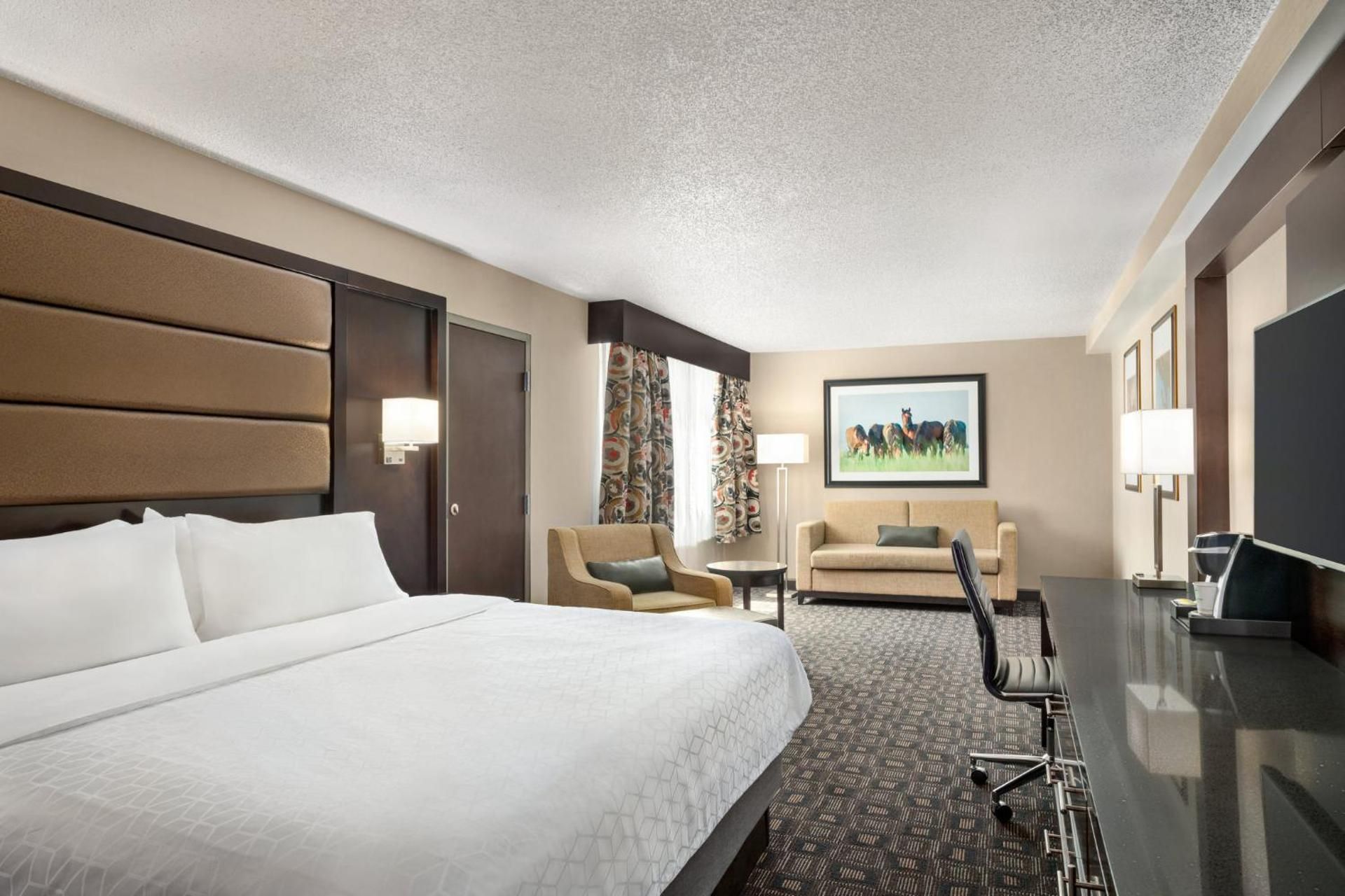 1 King Suite