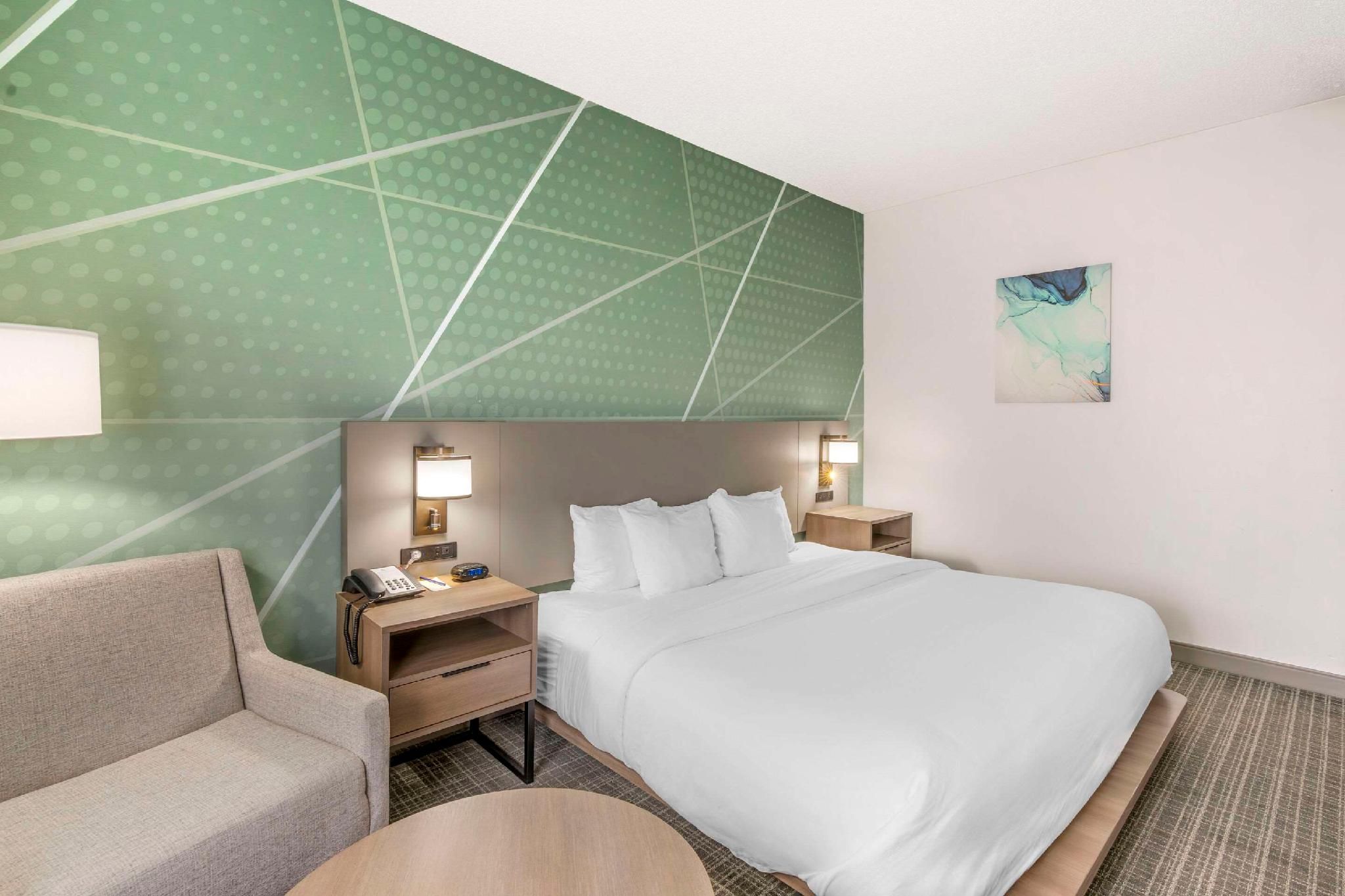 1 King Bed, Nonsmoking, Accessible