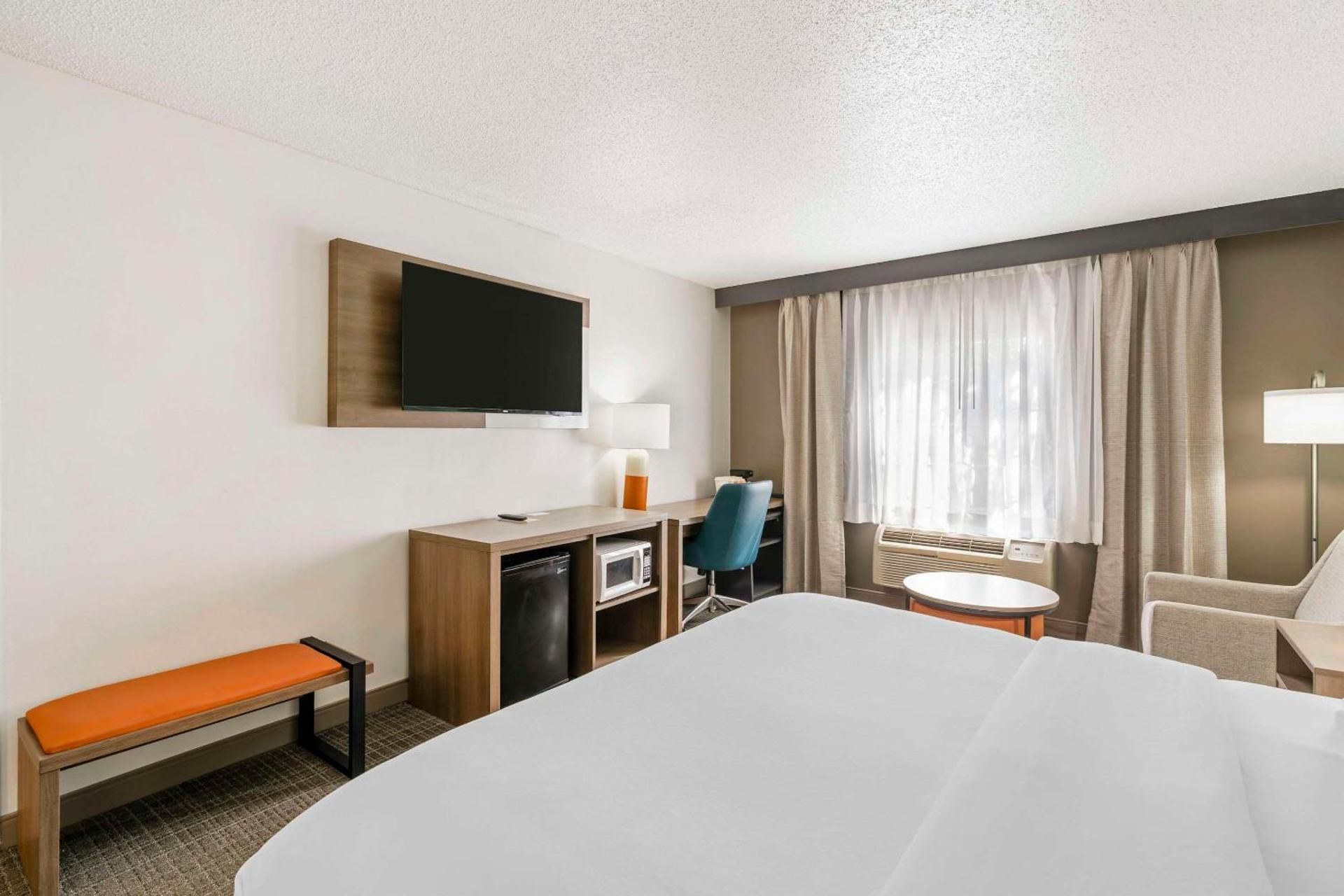 1 King Bed, Nonsmoking