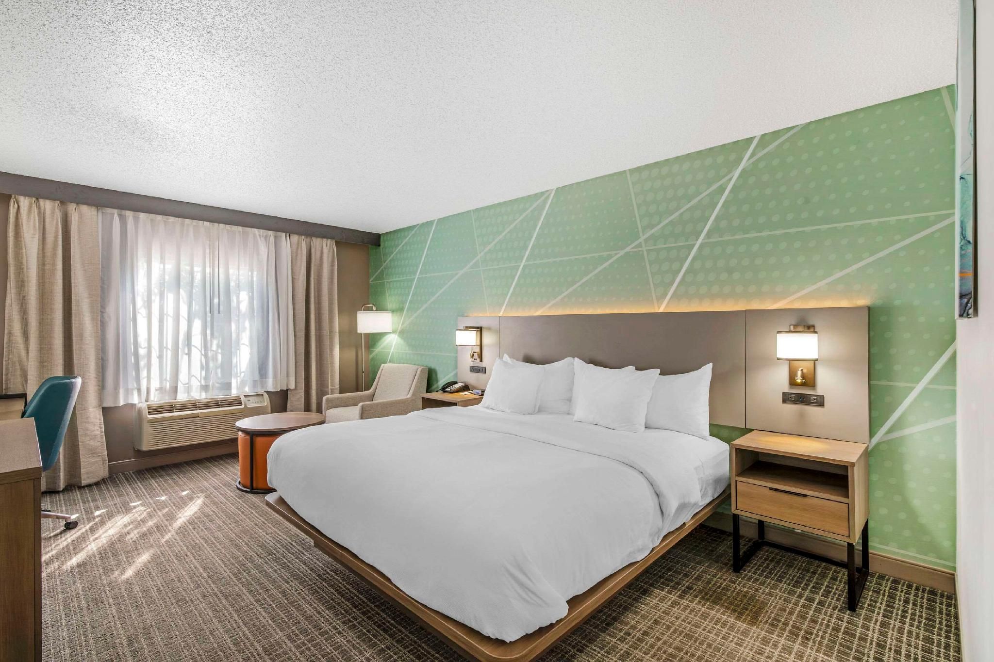 1 King Bed, Nonsmoking