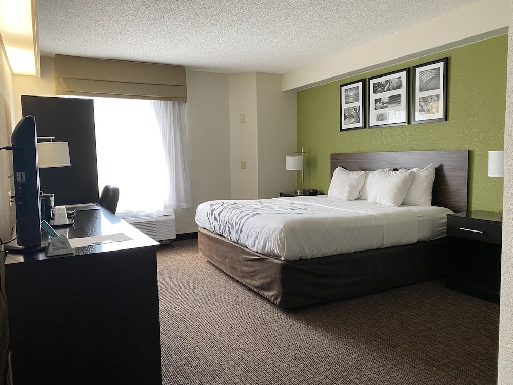 Standard Room, 1 King Bed, Non Smoking