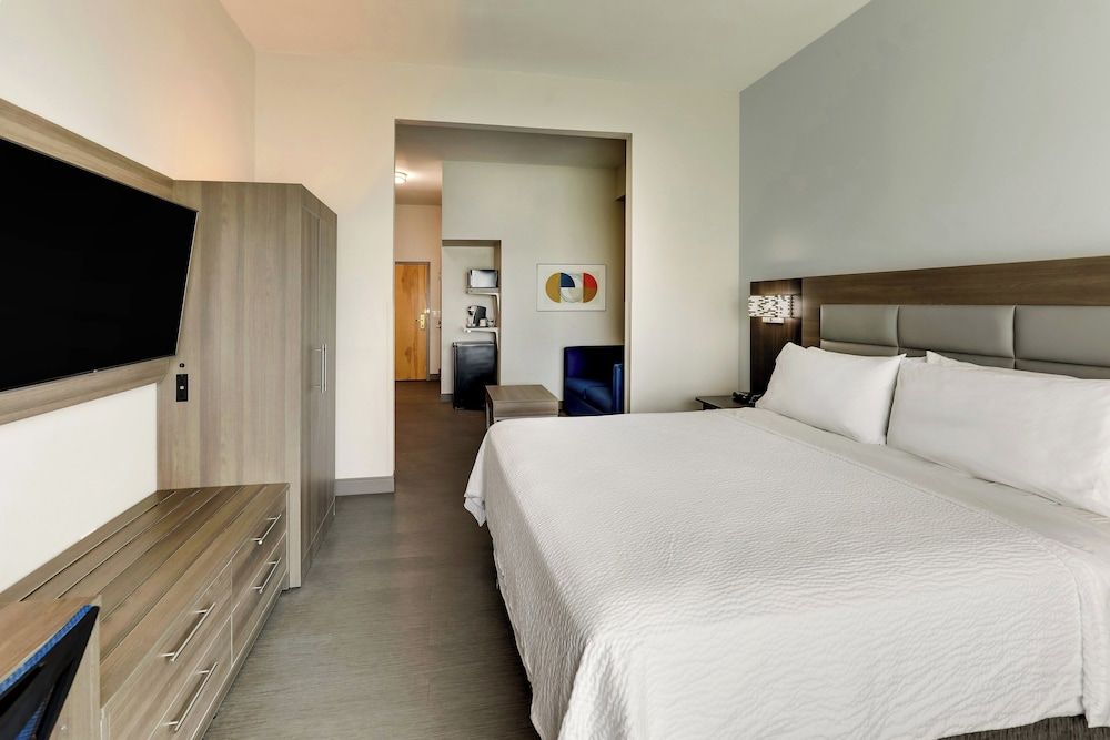 Suite, 1 King Bed with Sofa bed