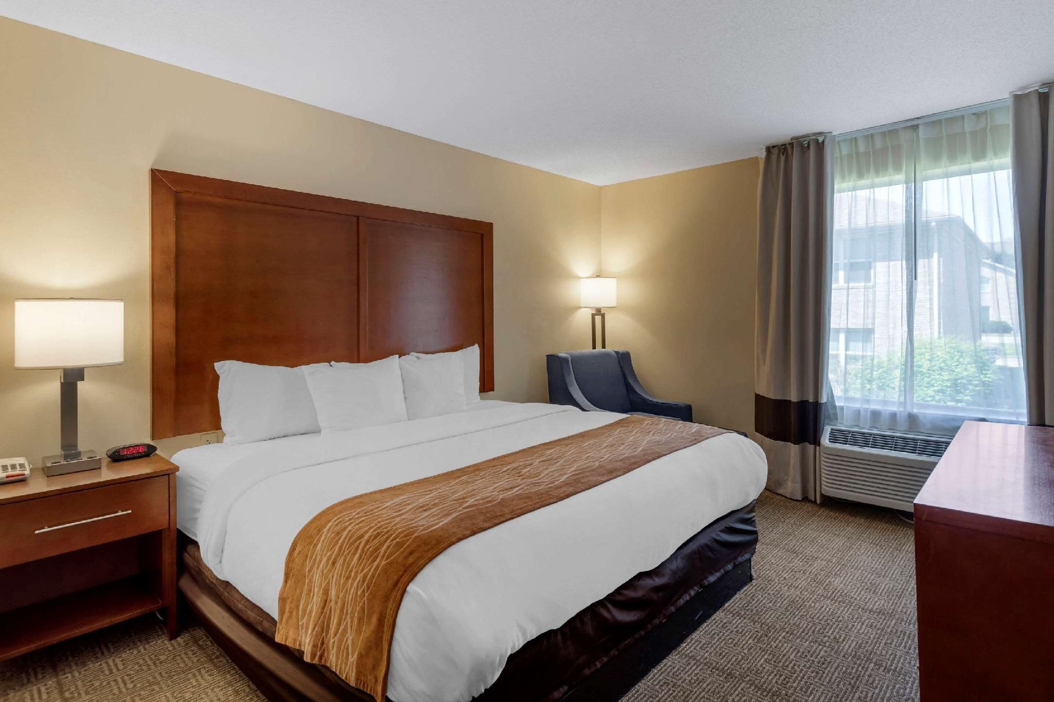 1 King Bed No Smoking Accessible
