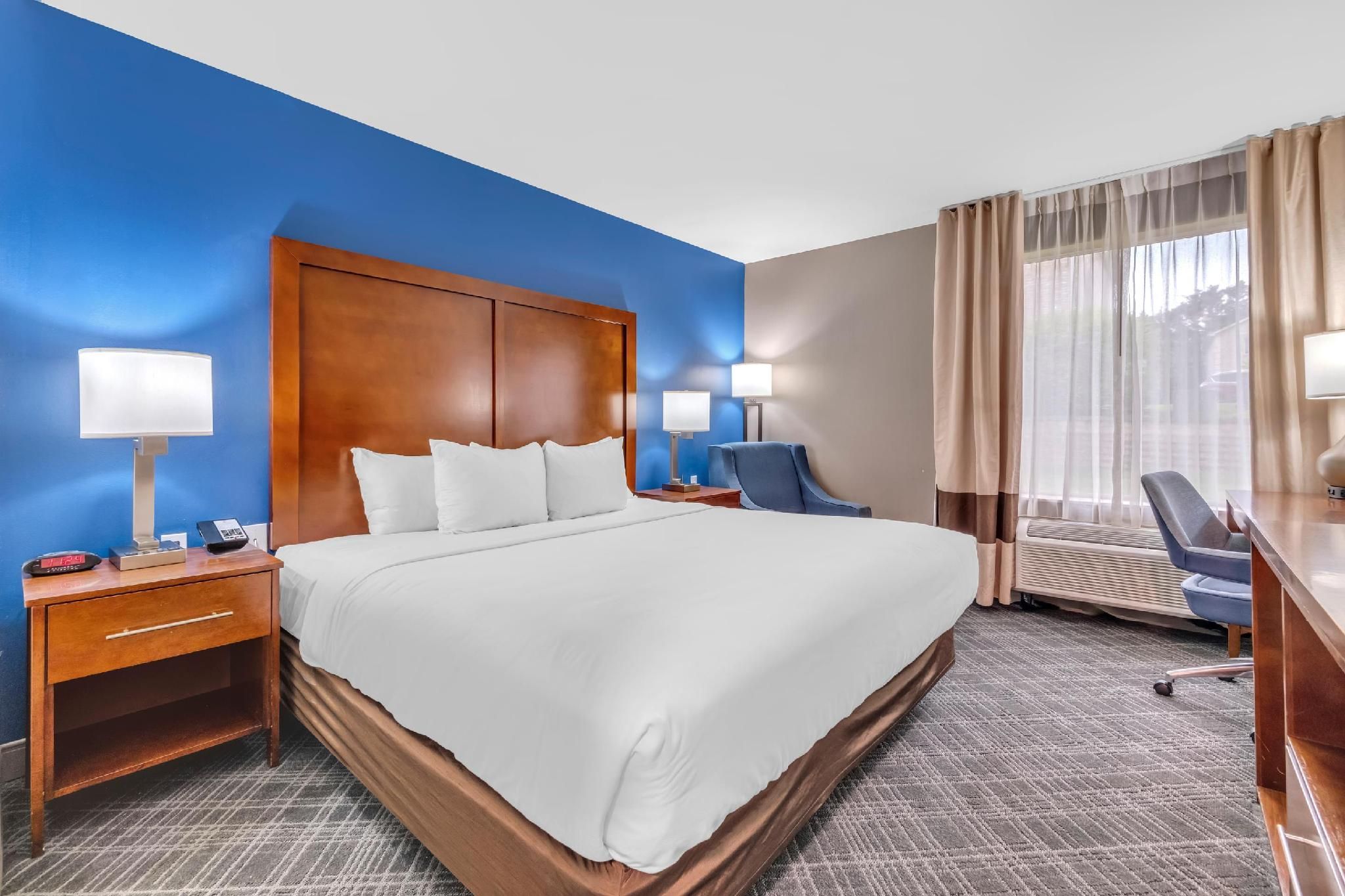 1 King Bed No Smoking Accessible