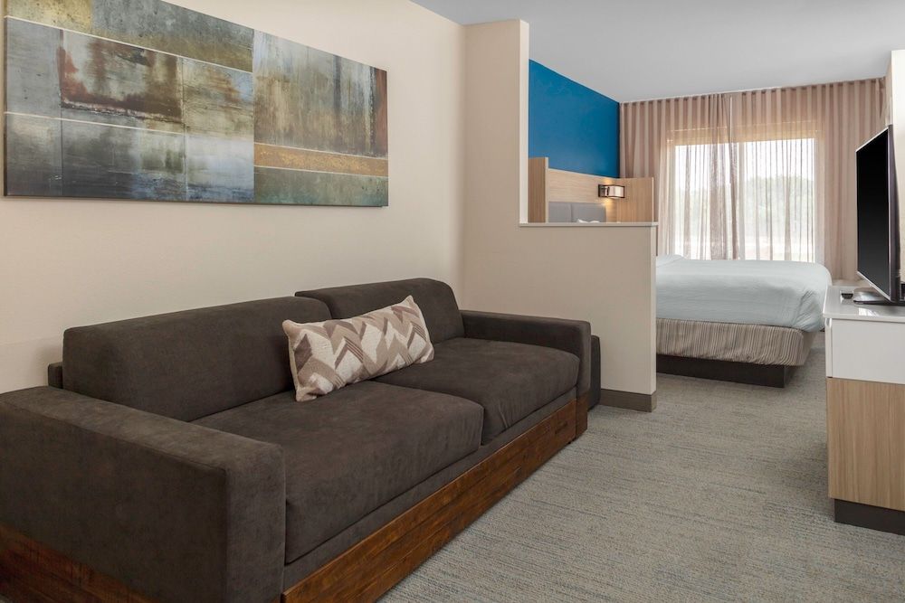 Suite, 1 King Bed with Sofa bed