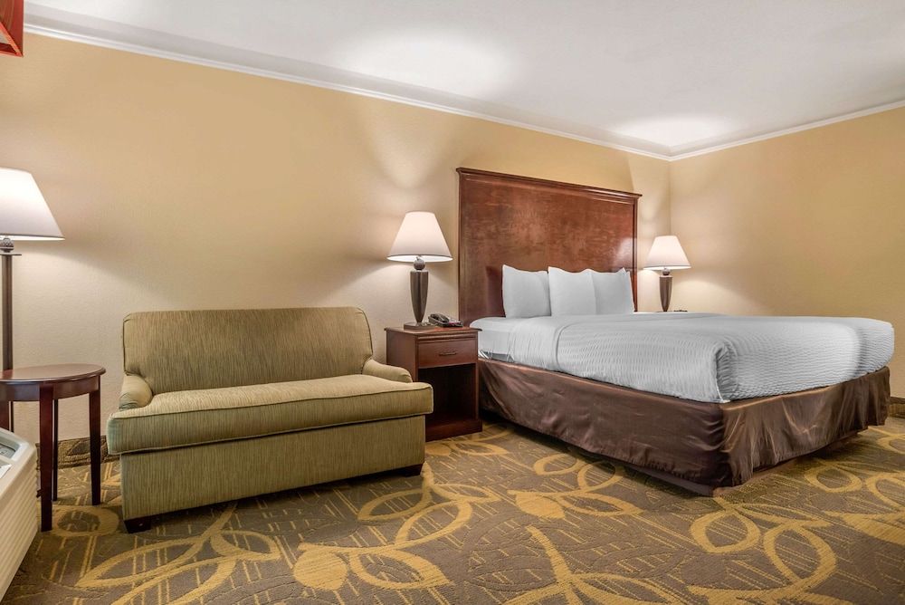 Room, 1 King Bed, Non Smoking (Pet Friendly)