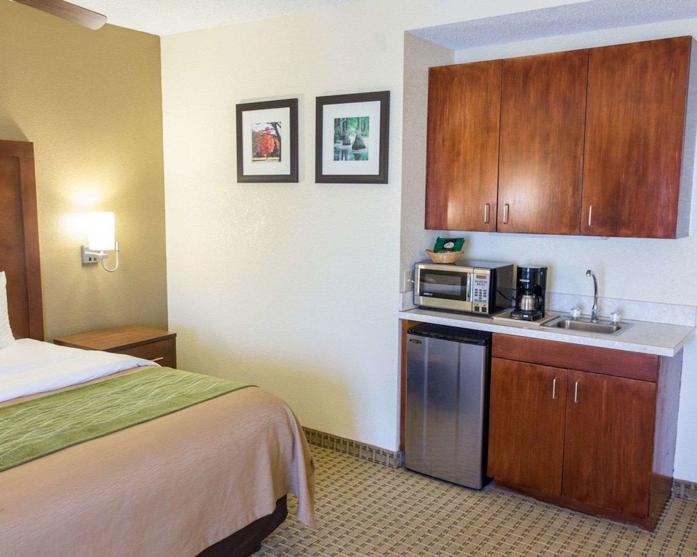 Suite, 1 King Bed with Sofa bed, Non Smoking