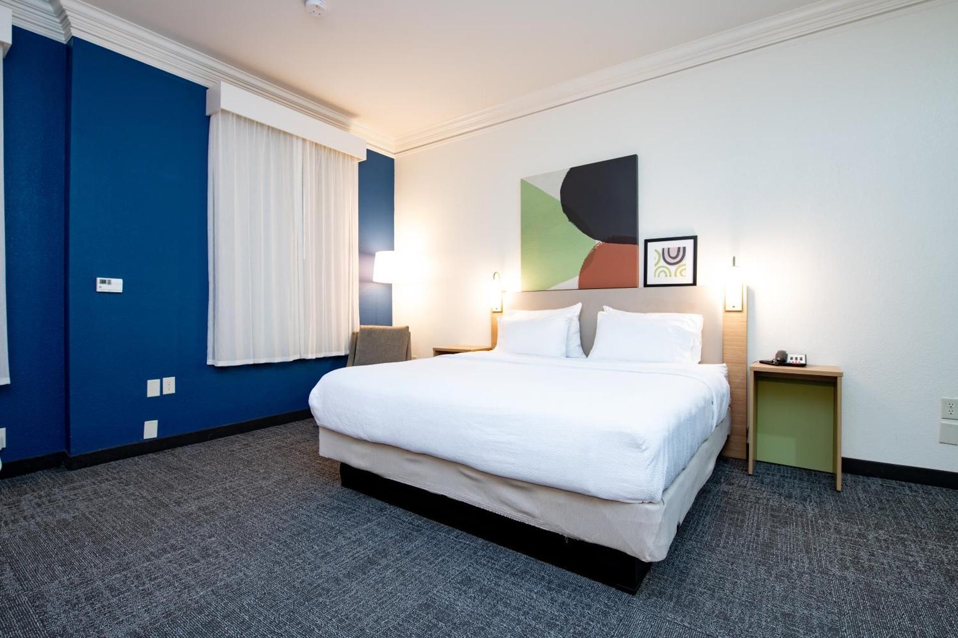 1 King Bed 