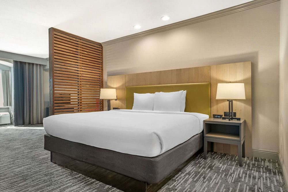 Studio Suite, 1 King Bed with Sofa bed, Non Smoking