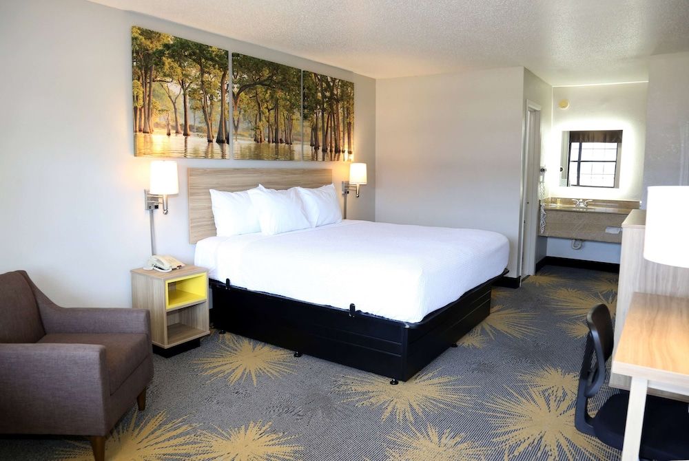 Room, 1 King Bed, Accessible, Non Smoking
