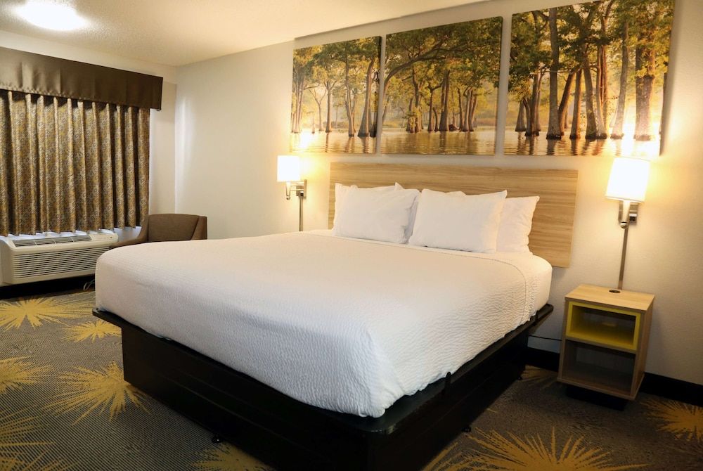 Room, 1 King Bed, Accessible, Non Smoking