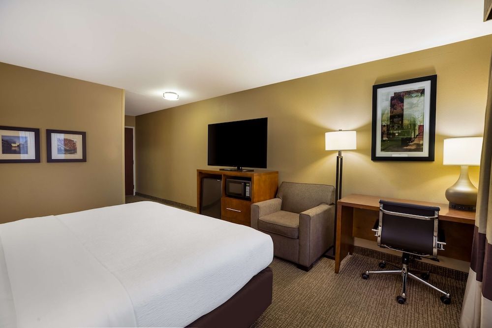Standard Room, 1 King Bed, Non Smoking, Refrigerator & Microwave