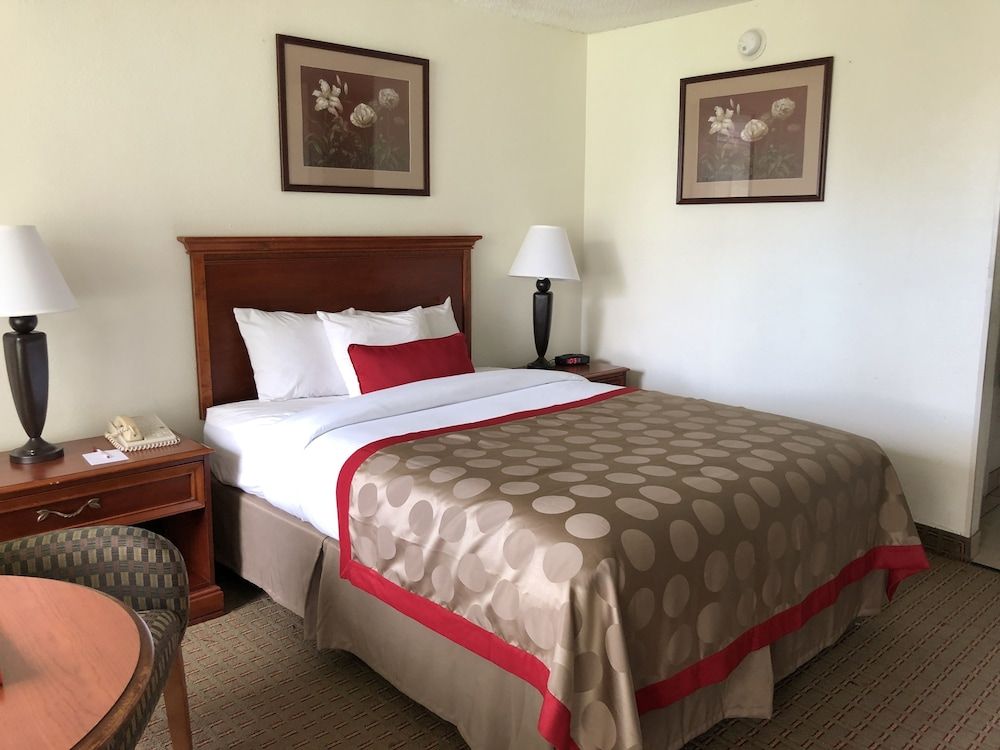 Suite, 1 Queen Bed, Non Smoking, Kitchen