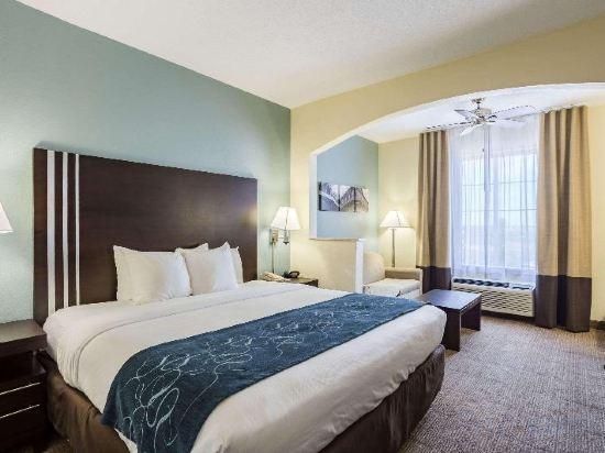 1 Bedroom Suite