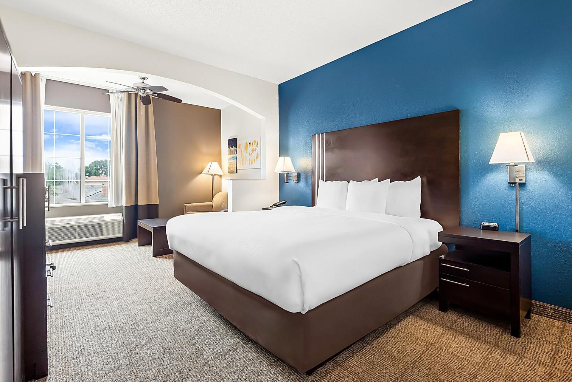1 King Bed, Suite, Nonsmoking