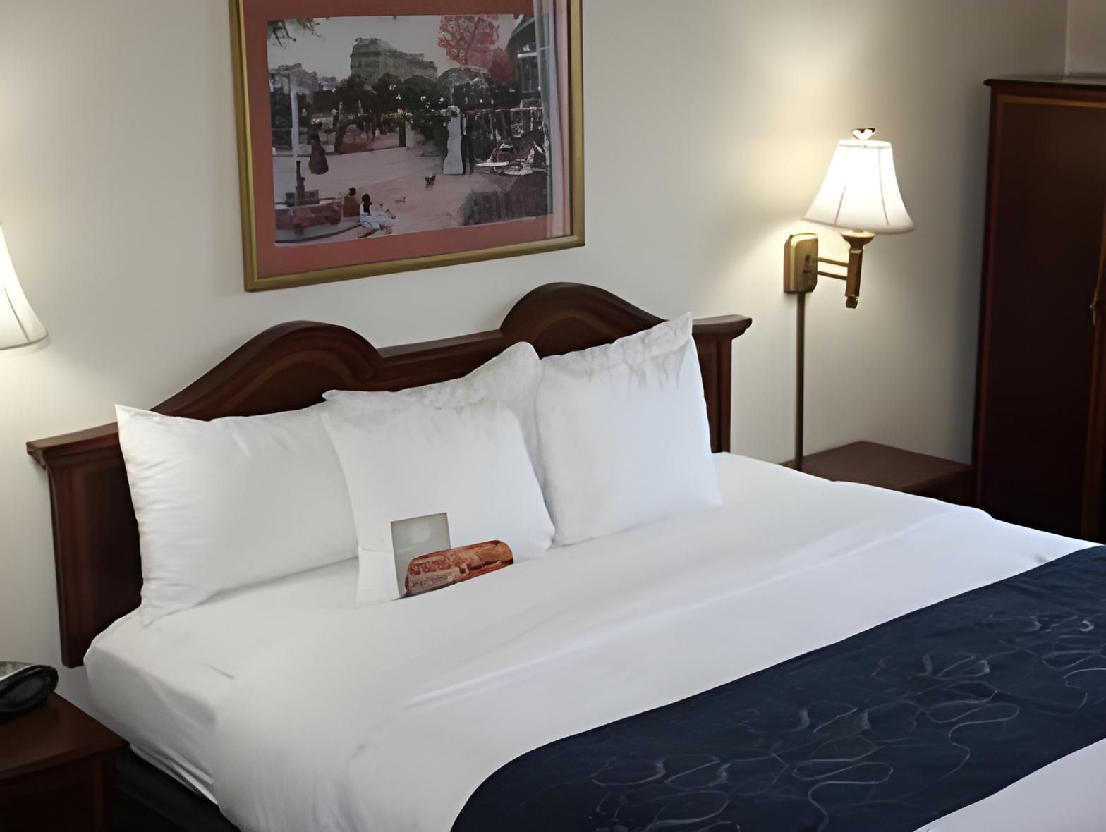1 Bedroom Suite
