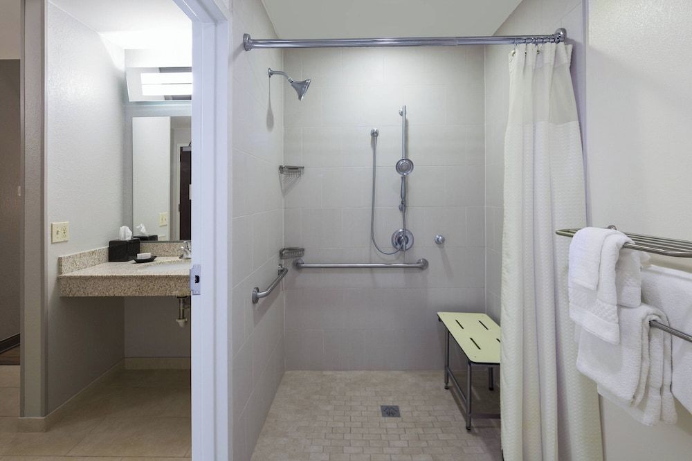 Room, 1 King Bed, Non Smoking (Mobility Accessible, Roll-In Shower)