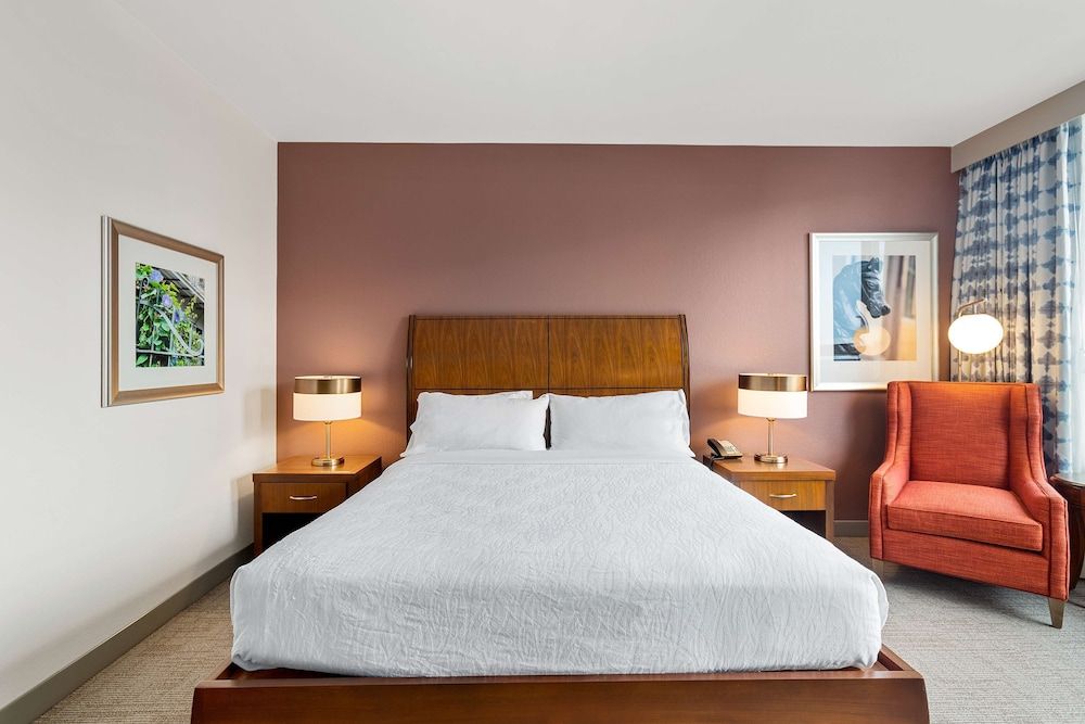 Room, 1 King Bed, Accessible (Roll-In Shower), City View