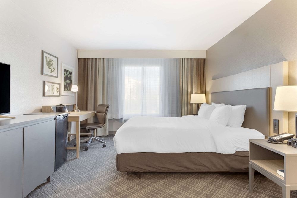 Standard Room, 1 King Bed, Non Smoking