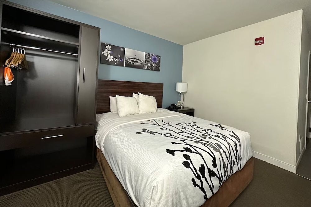 Room, 1 Queen Bed, Mobility Accessible, Non Smoking (Bathtub W/grab Bars)