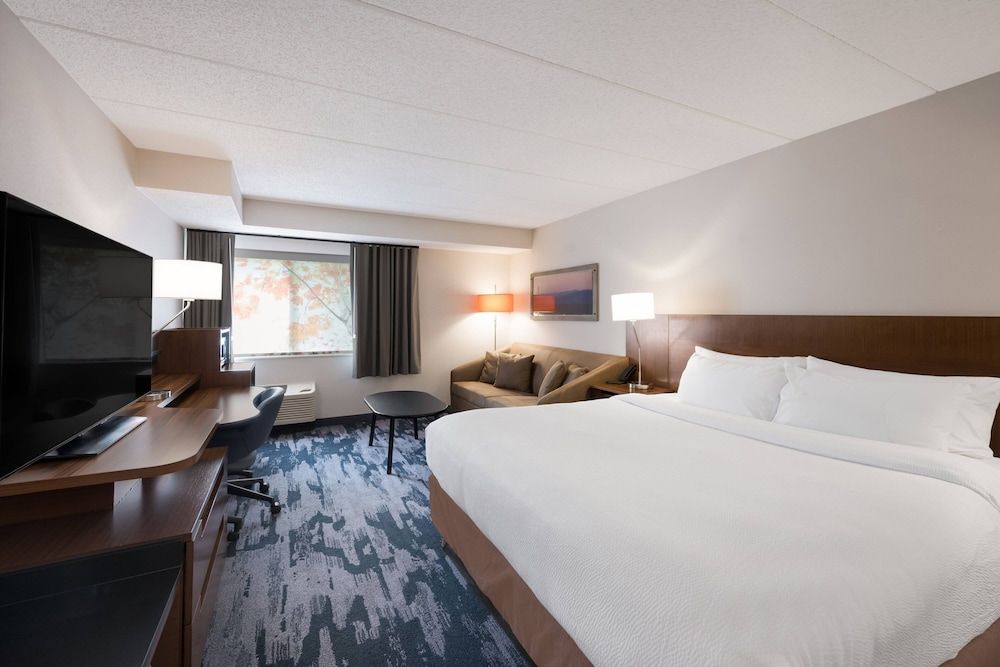 Room, 1 King Bed with Sofa bed (Hearing Accessible)
