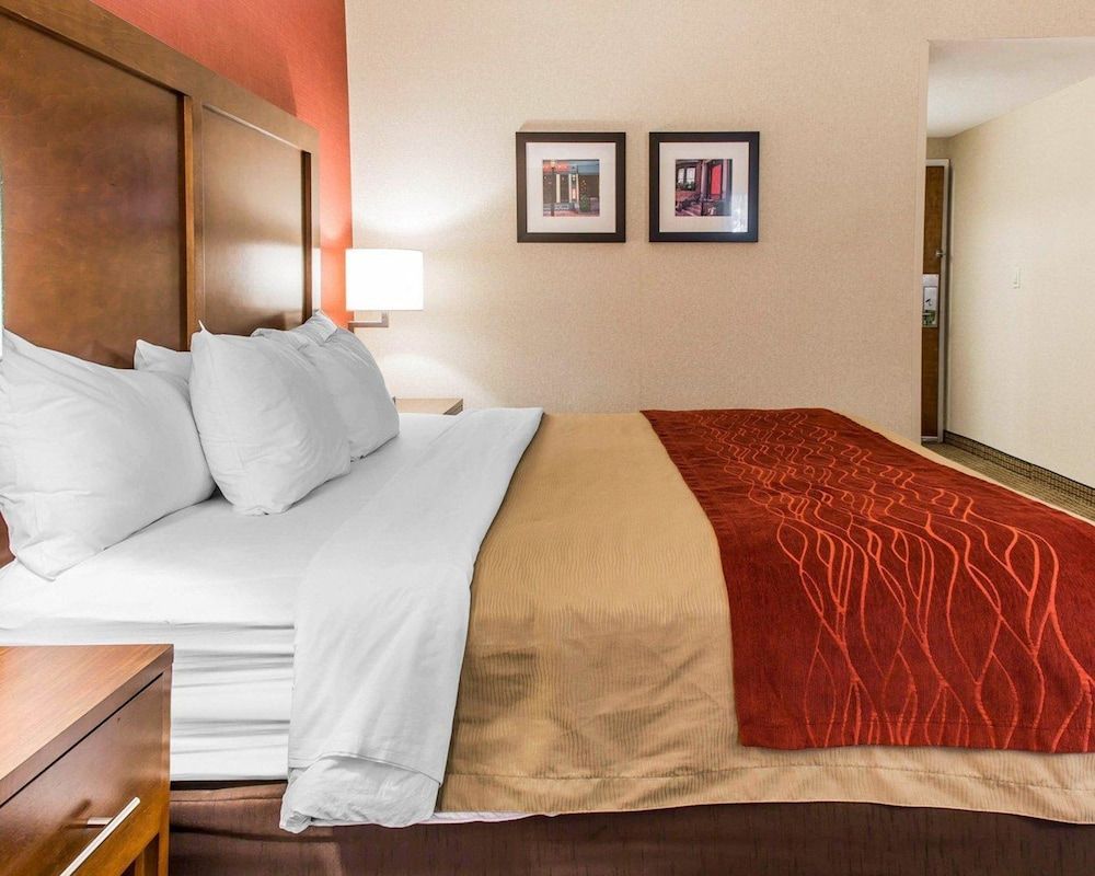 Comfort Inn Boston Standard Room, 1 King Bed, Non Smoking