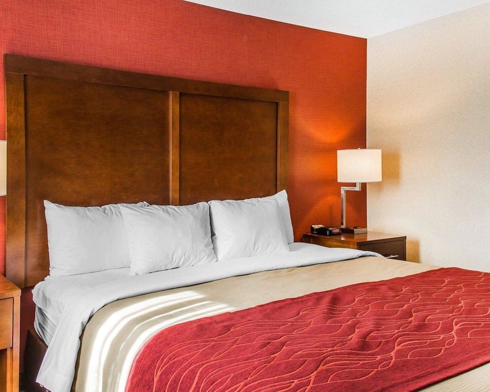 Comfort Inn Boston Room, 1 Queen Bed, Accessible, Non Smoking 3