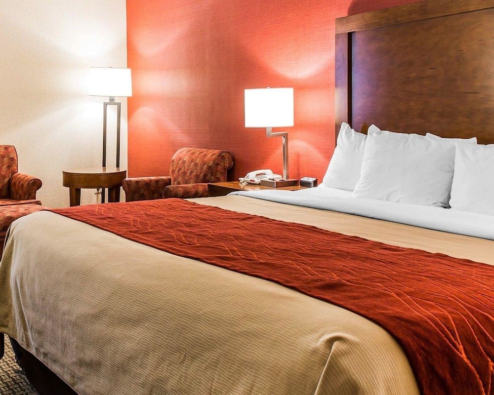 Comfort Inn Boston Standard Room, 1 King Bed, Non Smoking 3