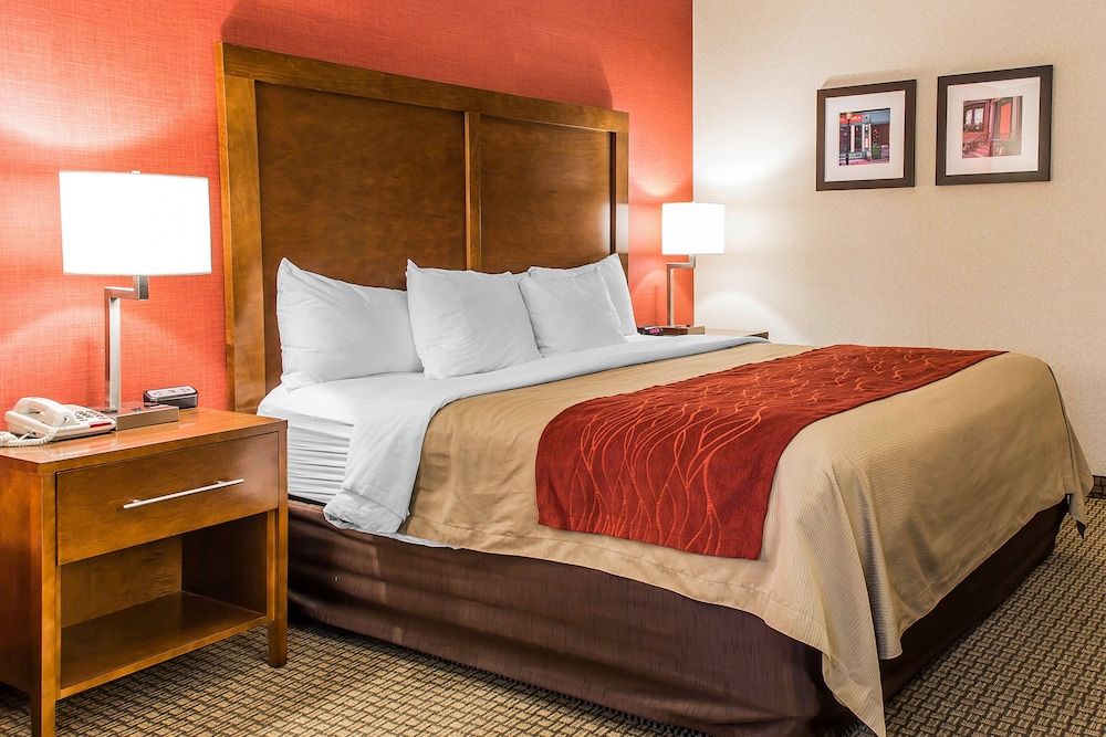 Comfort Inn Boston Standard Room, 1 King Bed, Non Smoking 7