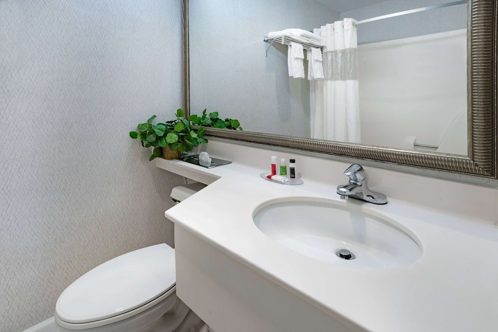 Studio Suite, 1 King Bed, Non Smoking
