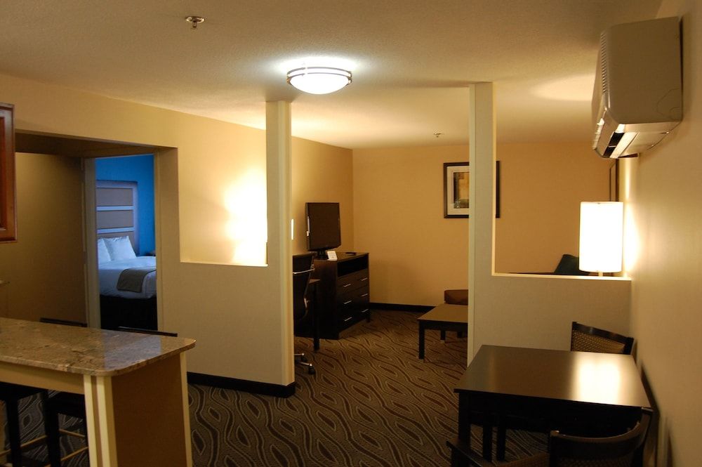 Suite, 1 King Bed, Non Smoking (Feature)
