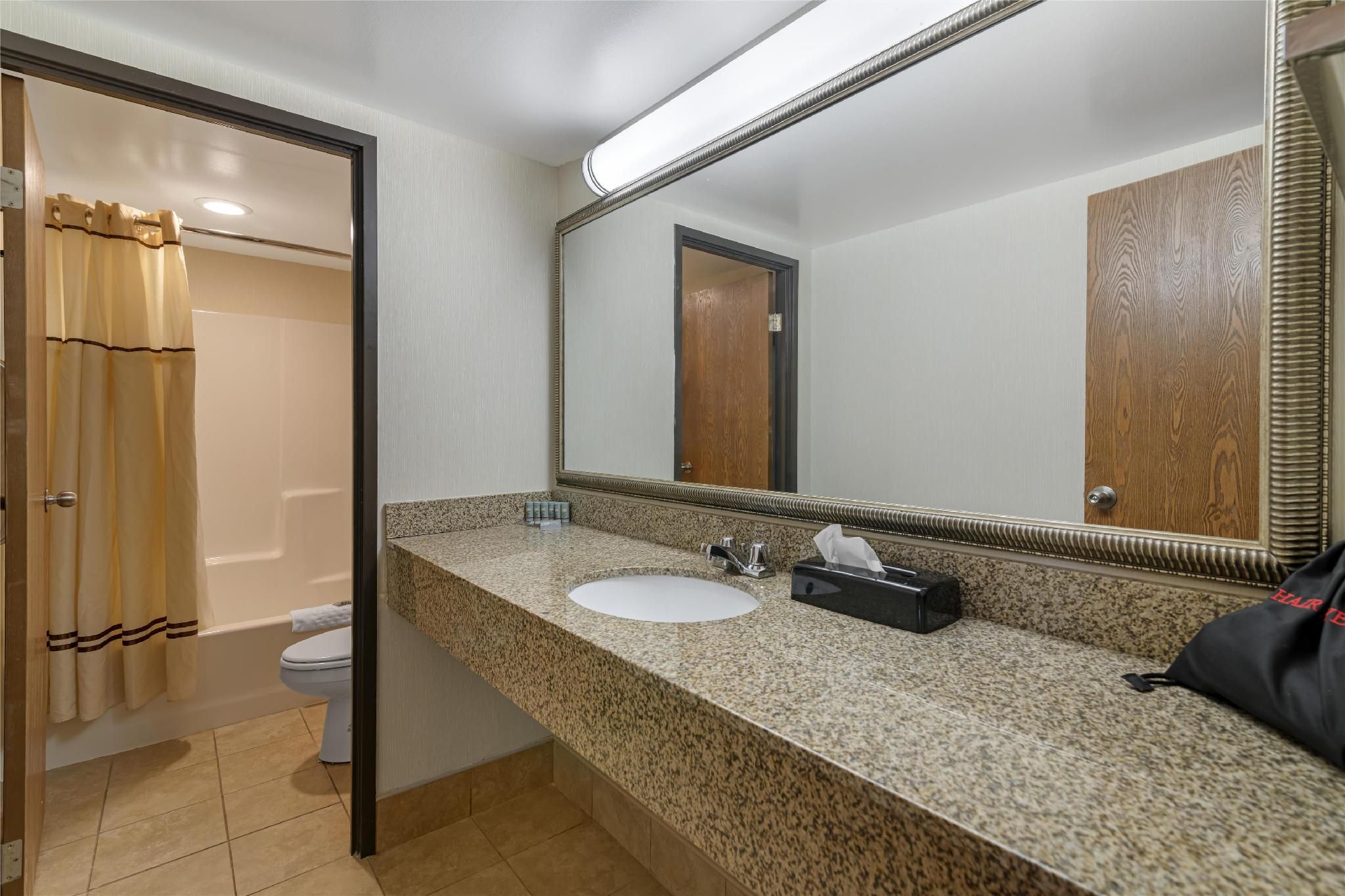 Suite - 1 King Bed, Nonsmoking, Deluxe Room, Sofabed