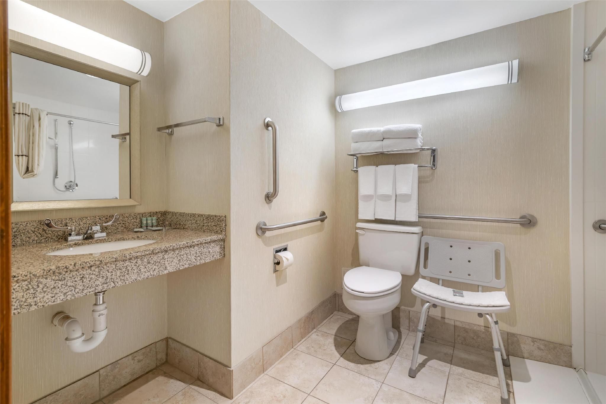 Accessibility - 1 King, Roll-in Shower, Nonsmoking