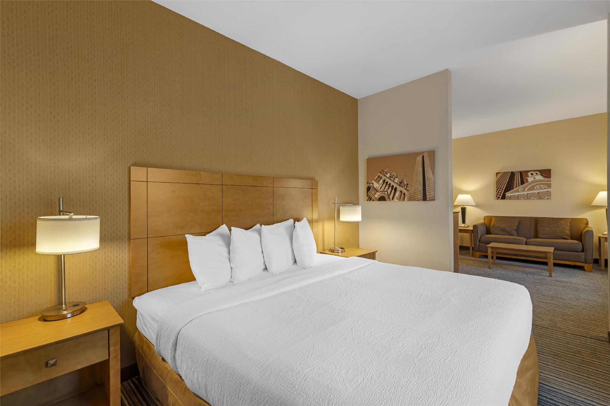 Suite - 1 King Bed, Nonsmoking, Deluxe Room, Sofabed