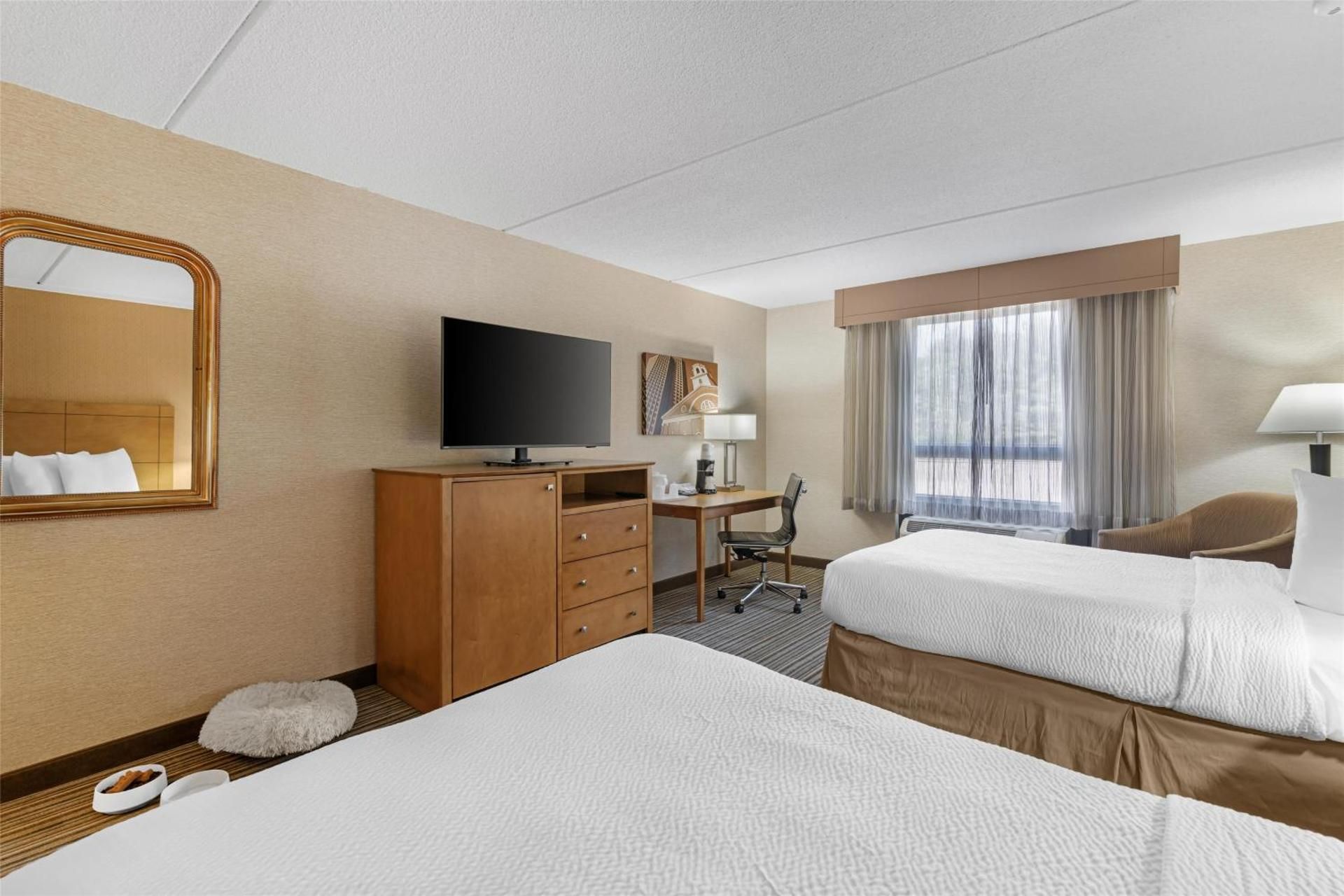 2 Double Beds, NonSmoking, Pet Friendly Room
