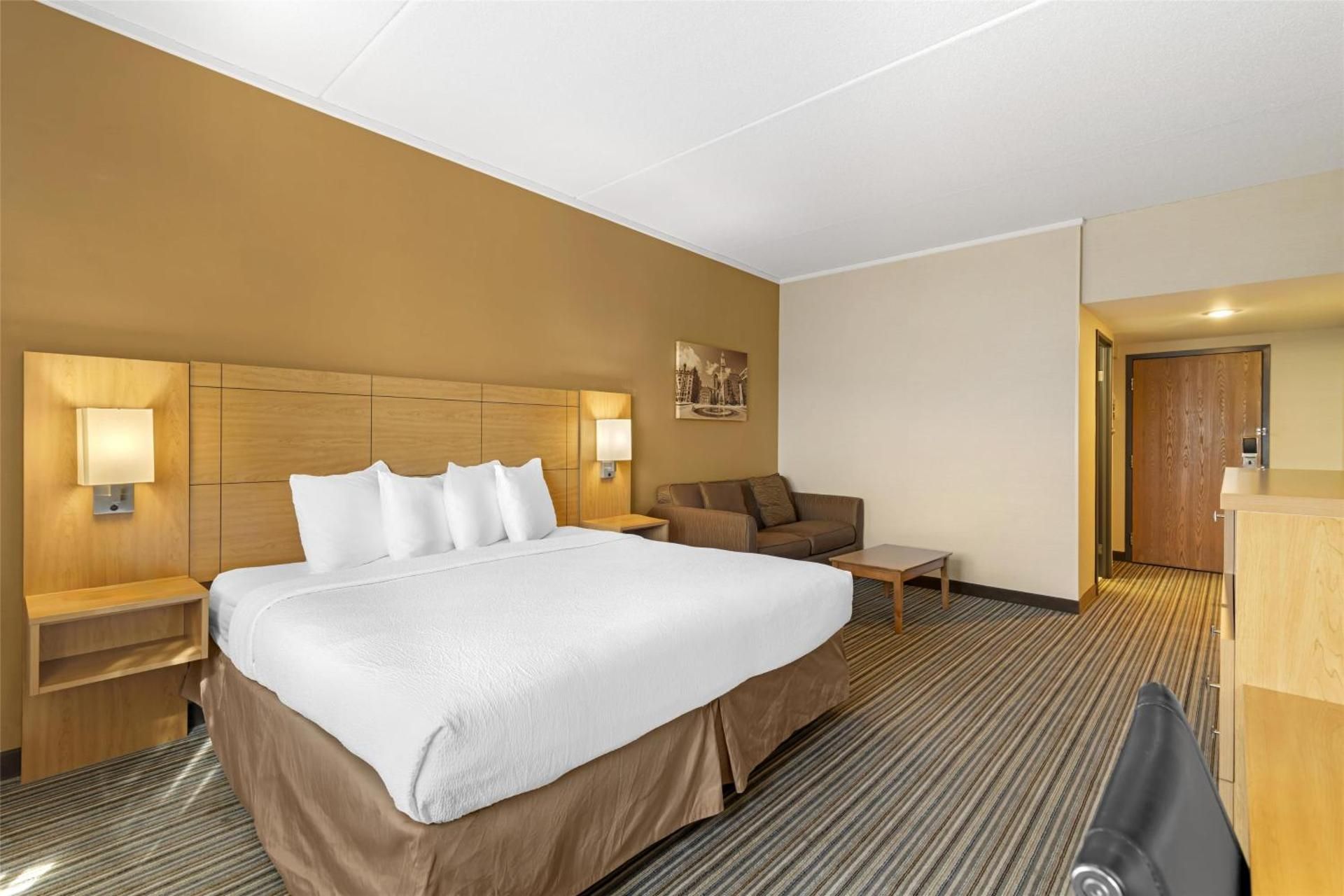 1 King Bed, Nonsmoking, Sofabed