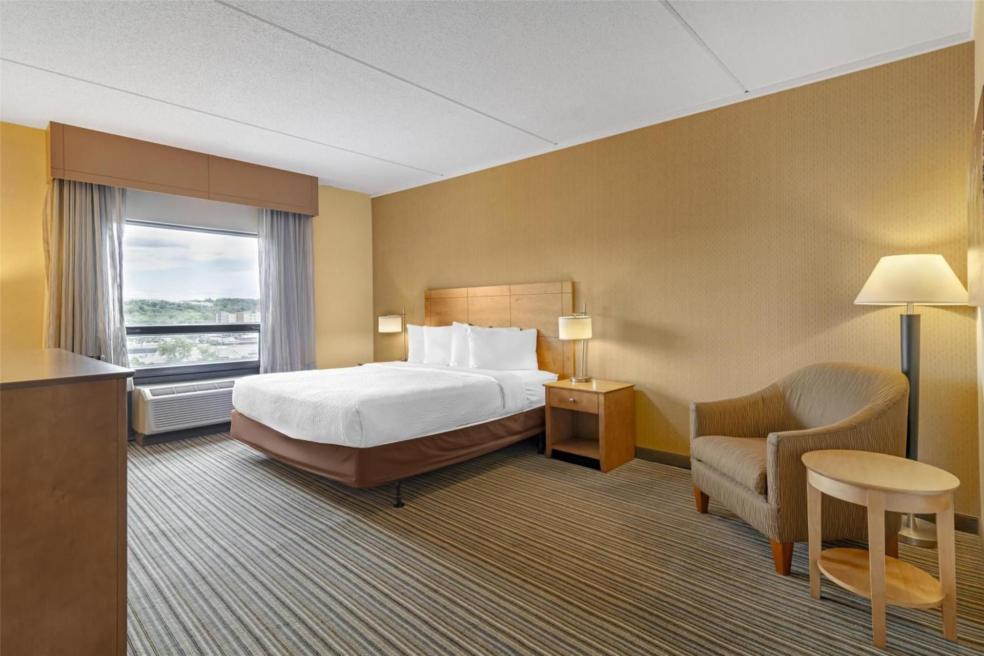 1 King Bed, NonSmoking, Pet Friendly Room