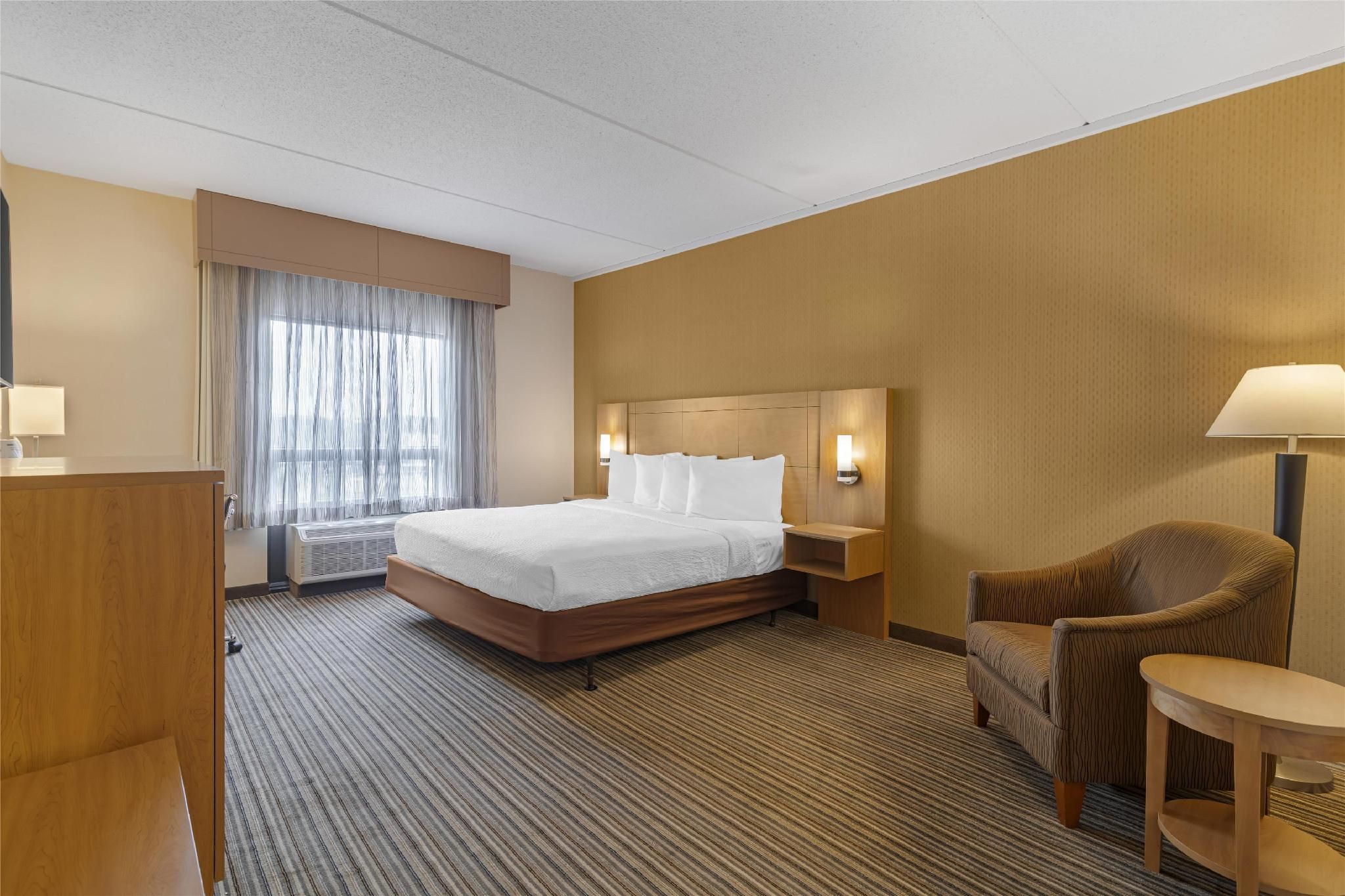1 King Bed, NonSmoking, Deluxe Room