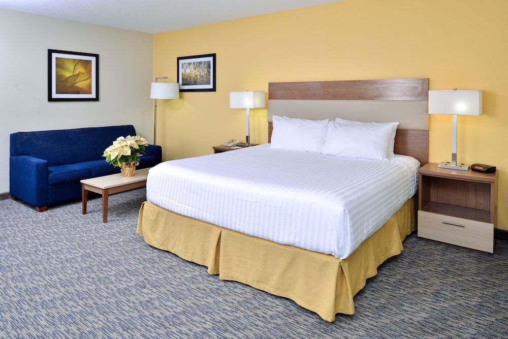 Standard Room, 1 King Bed, Accessible, Refrigerator & Microwave