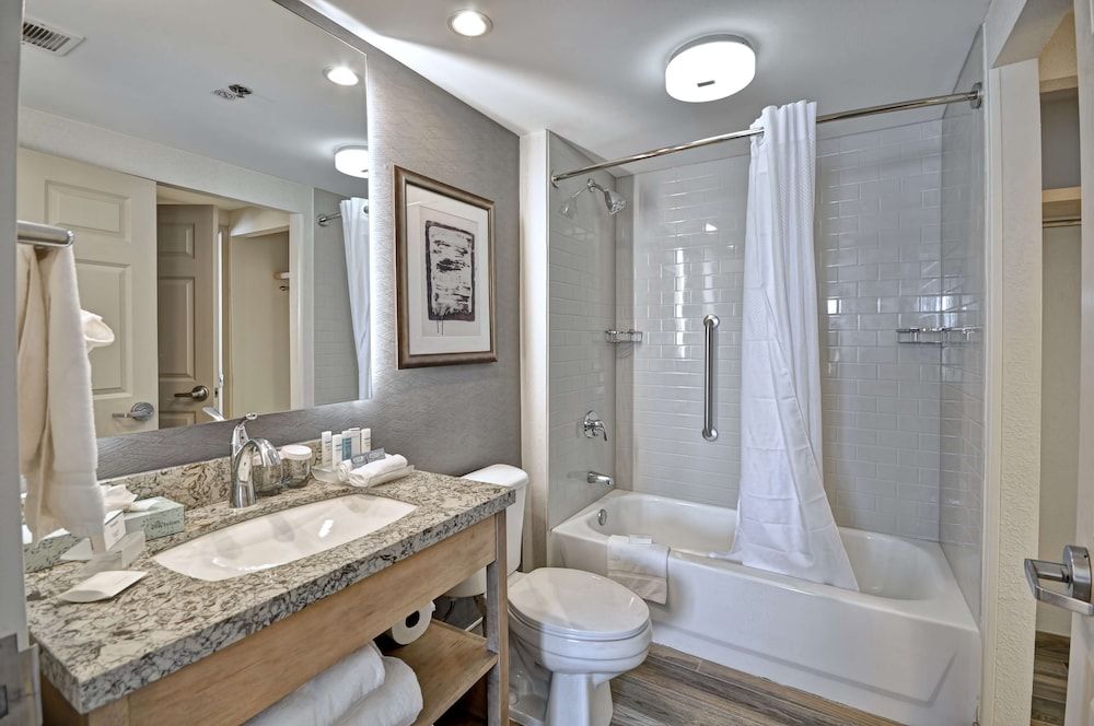 Studio, 1 Queen Bed with Sofa bed, Accessible (Roll-in Shower)